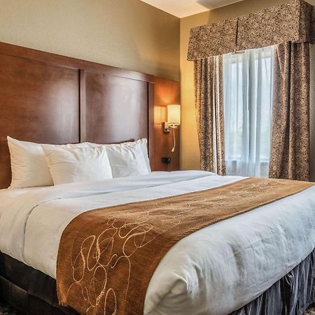 Comfort Suites Near Texas State University San Marcos Zewnętrze zdjęcie